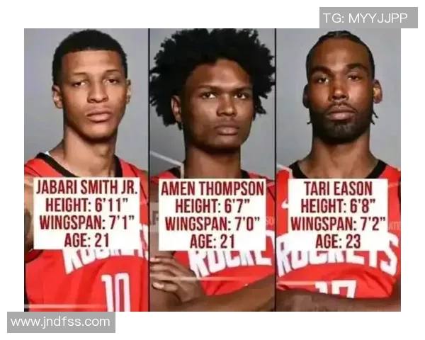 名嘴点评火箭本赛季目标明确若不夺冠将被视为失败 名嘴点评火箭本赛季目标明确若不夺冠将被视为失败